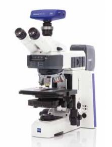 生物常规显微镜Axioscope 5