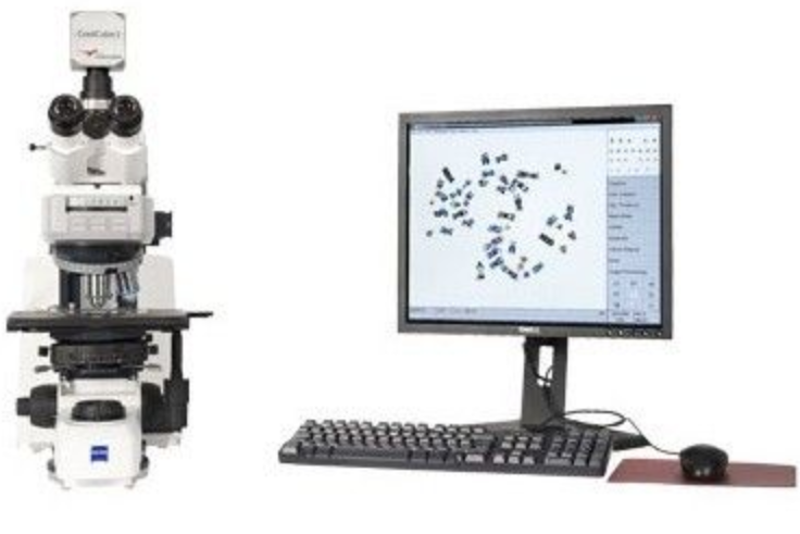 Ikaros - 染色体核型分析系统