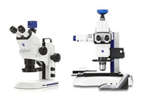 立体宏观显微镜的应用