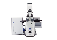 蔡司三维超高分辨率显微镜助力生物科研领域